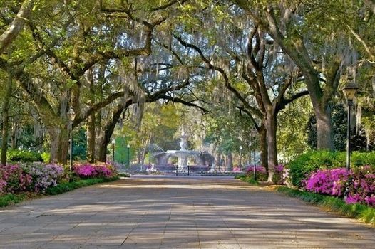 Savannah Calendar Of Events February 2022 2022 Savannah Charleston In The Spring April 25 April 30 Savannah Georgia 25 April 2021 Savannah Calendar Of Events February 2022 2022 Savannah Charleston In The Spring April 25 April 30 Savannah Georgia 25 April 2021