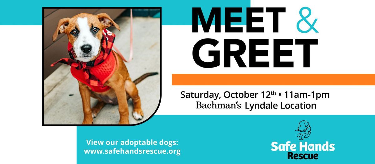 Safe Hands Rescue Meet & Greet at Bachman's - Lyndale