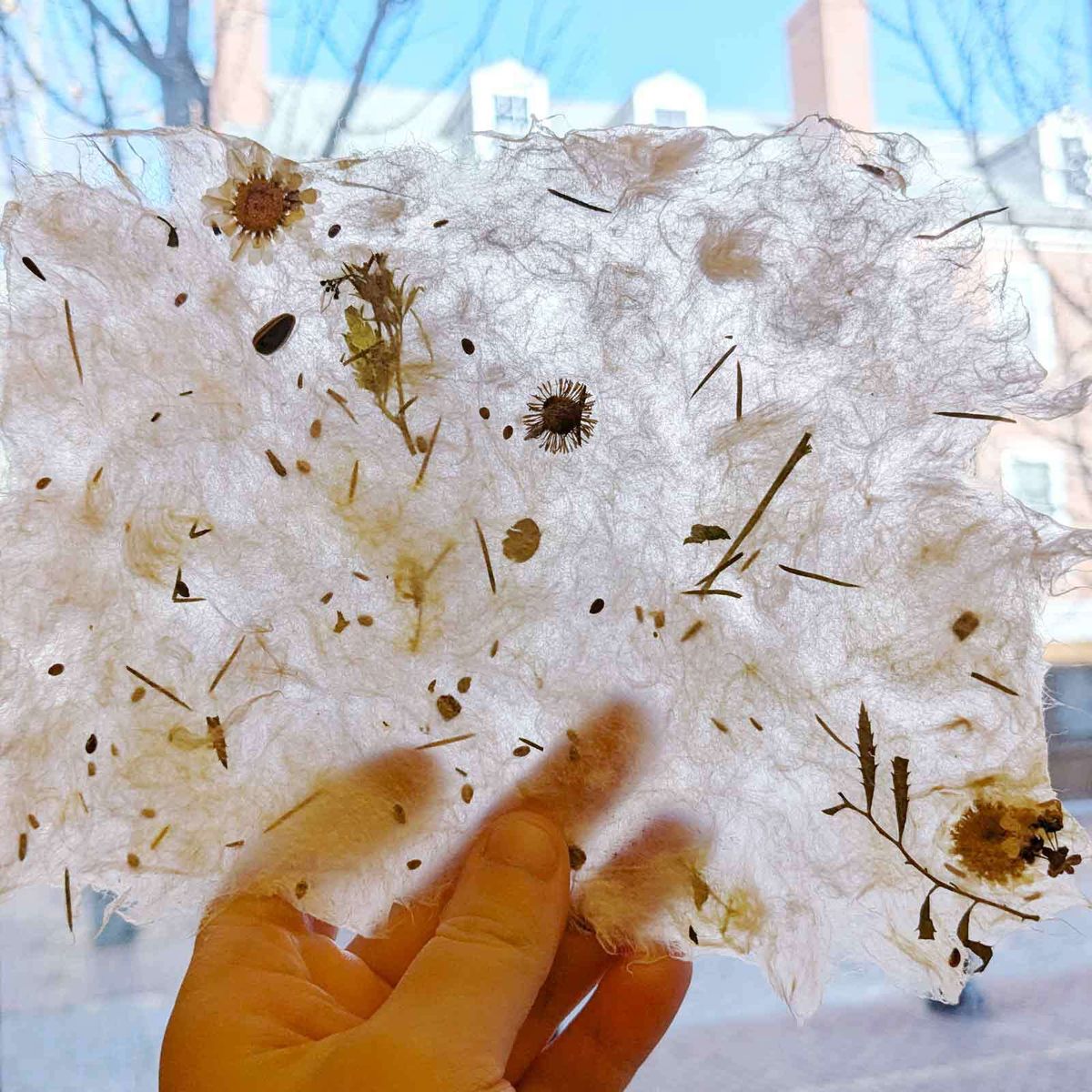 Wildflower Paper Making