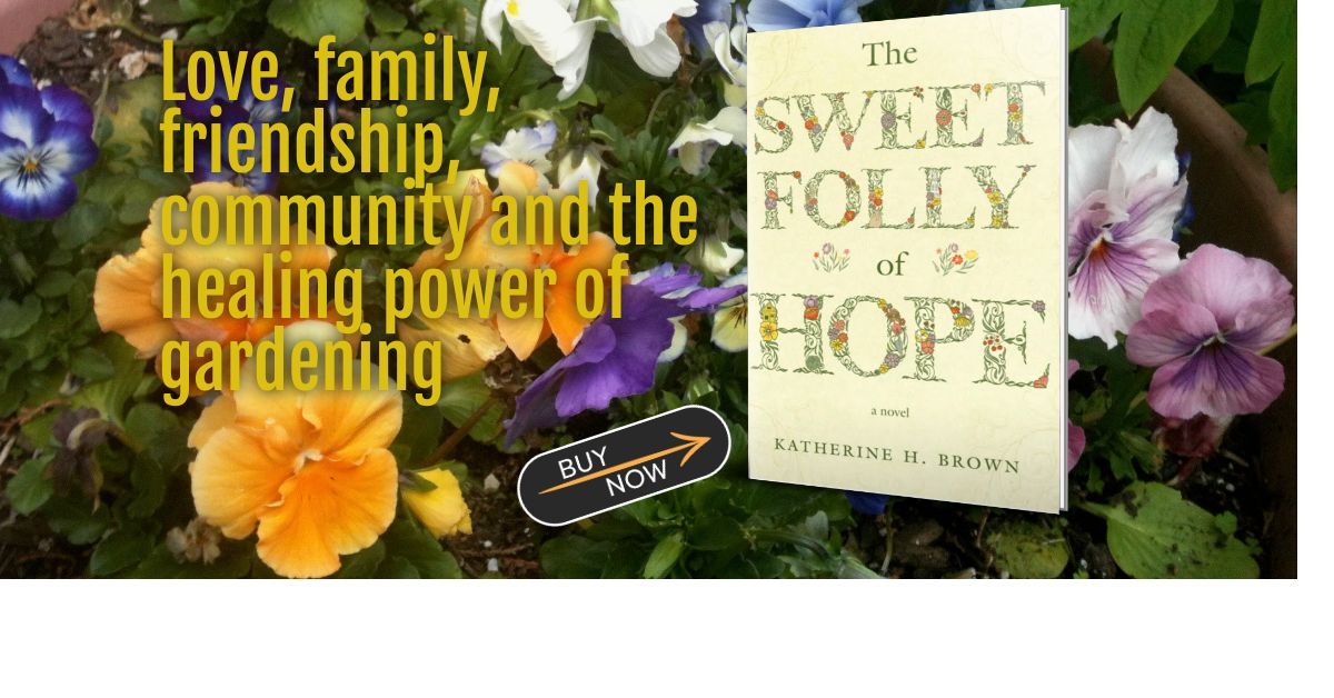 Book Launch Party for The Sweet Folly of Hope
