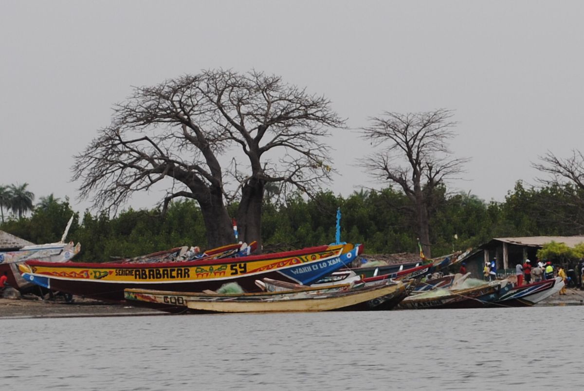 Pr\u00e9sentation de mon livre "L'exode de jeunes s\u00e9n\u00e9galais vers l'Europe. Une ethnographie en Casamance