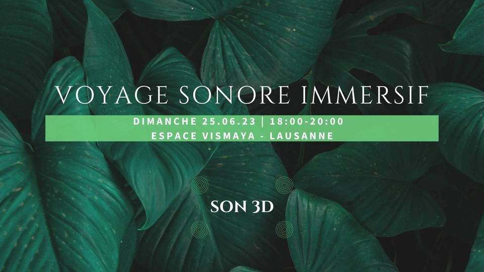 Voyage Sonore Immersif