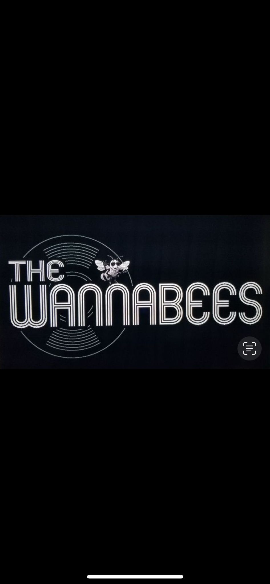 Live Band- The Wannabees