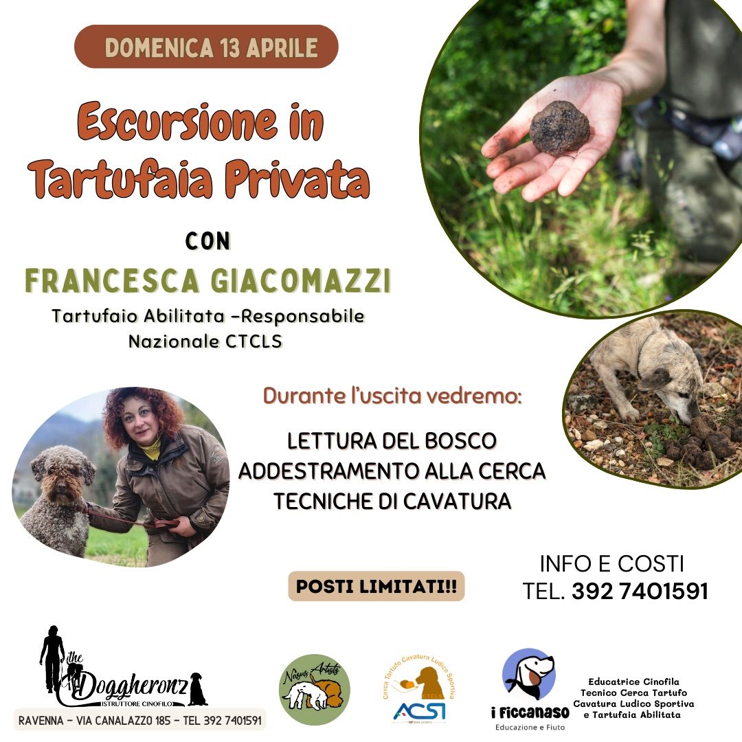 Escursione in tartufaia privata alla cerca del tartufo