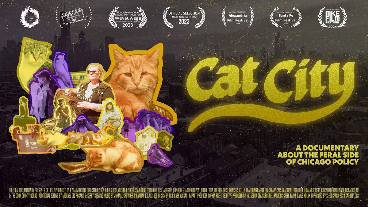 CAT CITY - New Documentary!