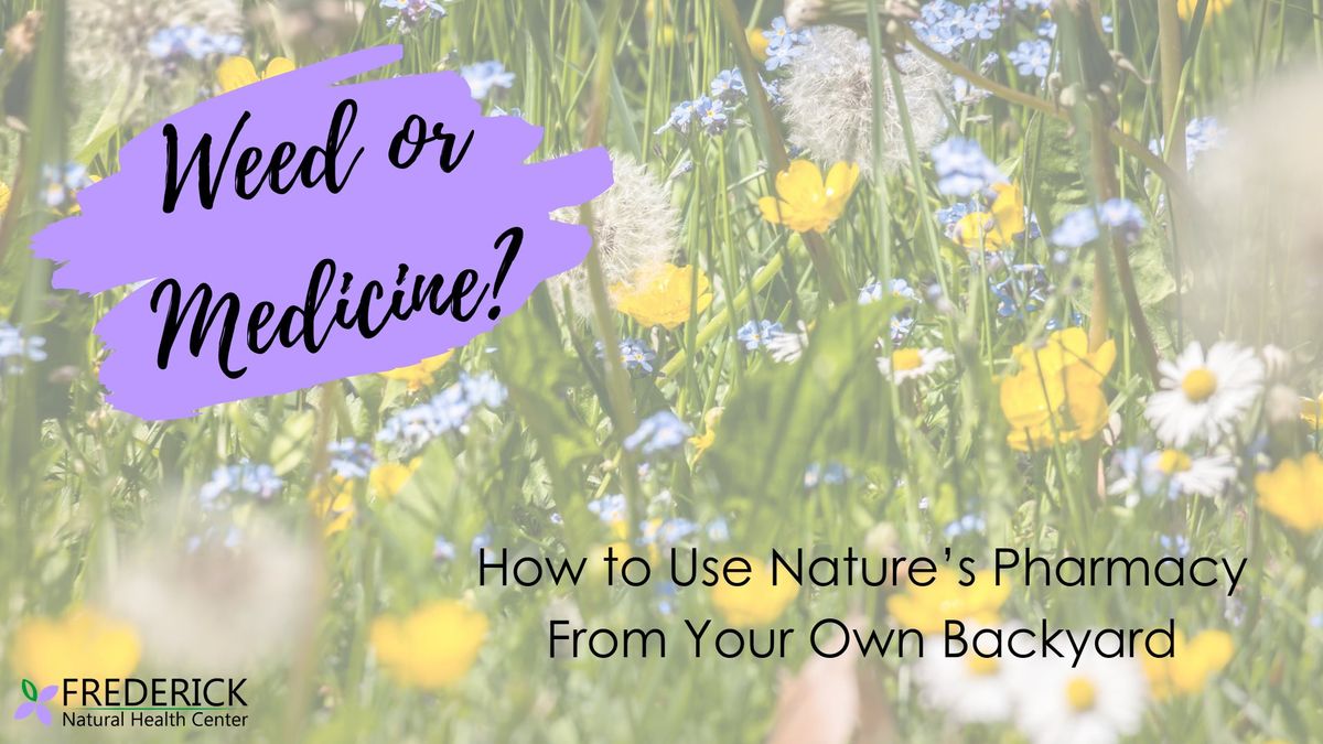 How to Use Nature\u2019s Pharmacy From Your Own Backyard