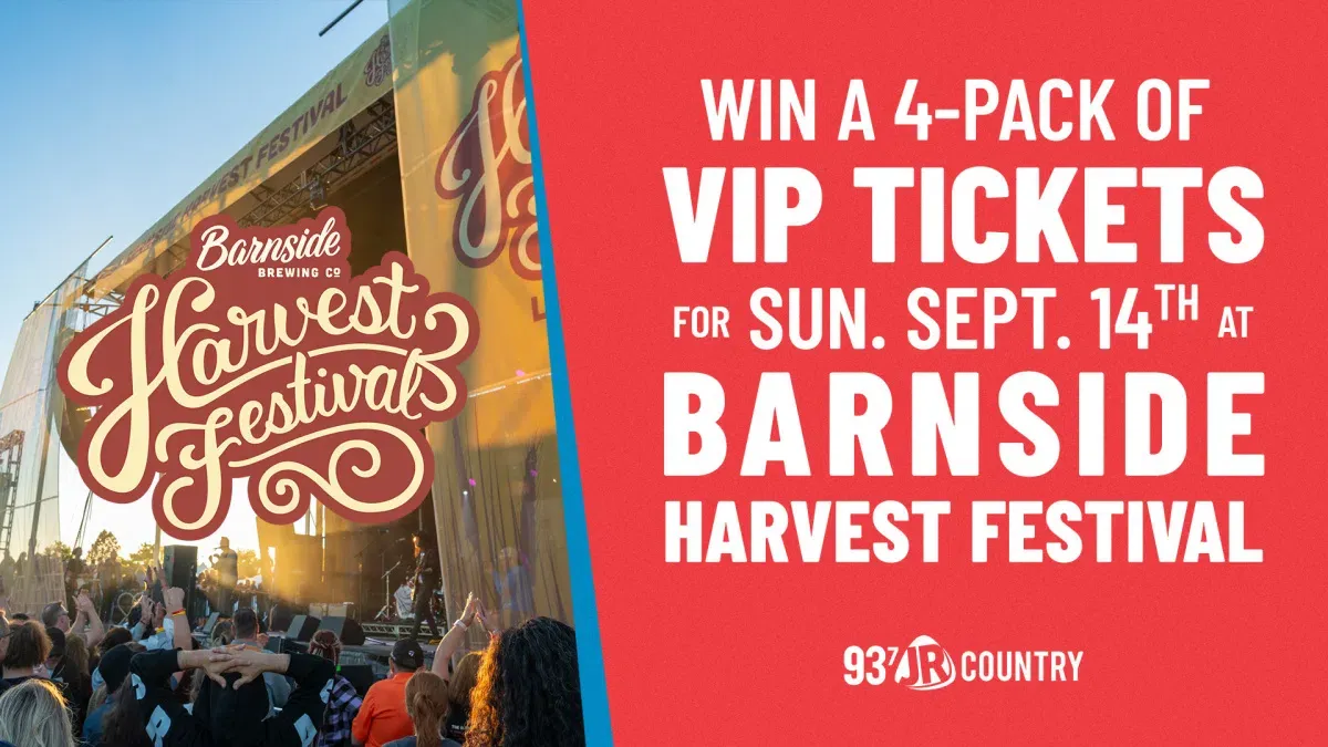 Barnside Harvest Festival at Paterson Park