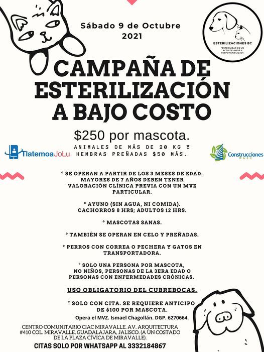 Campa\u00f1a de esterilizaci\u00f3n a bajo costo.