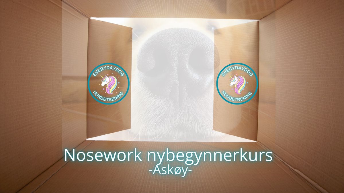 Nosework nybegynnerkurs helg p\u00e5 Ask\u00f8y