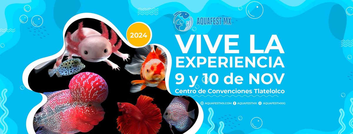 AQUAFEST MX