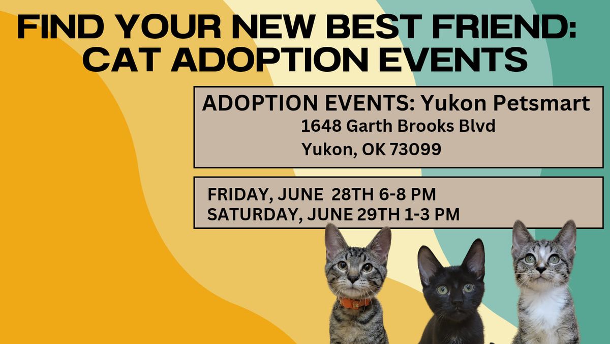 Find Your New BFF: Cat\/Kitten Adoption Event