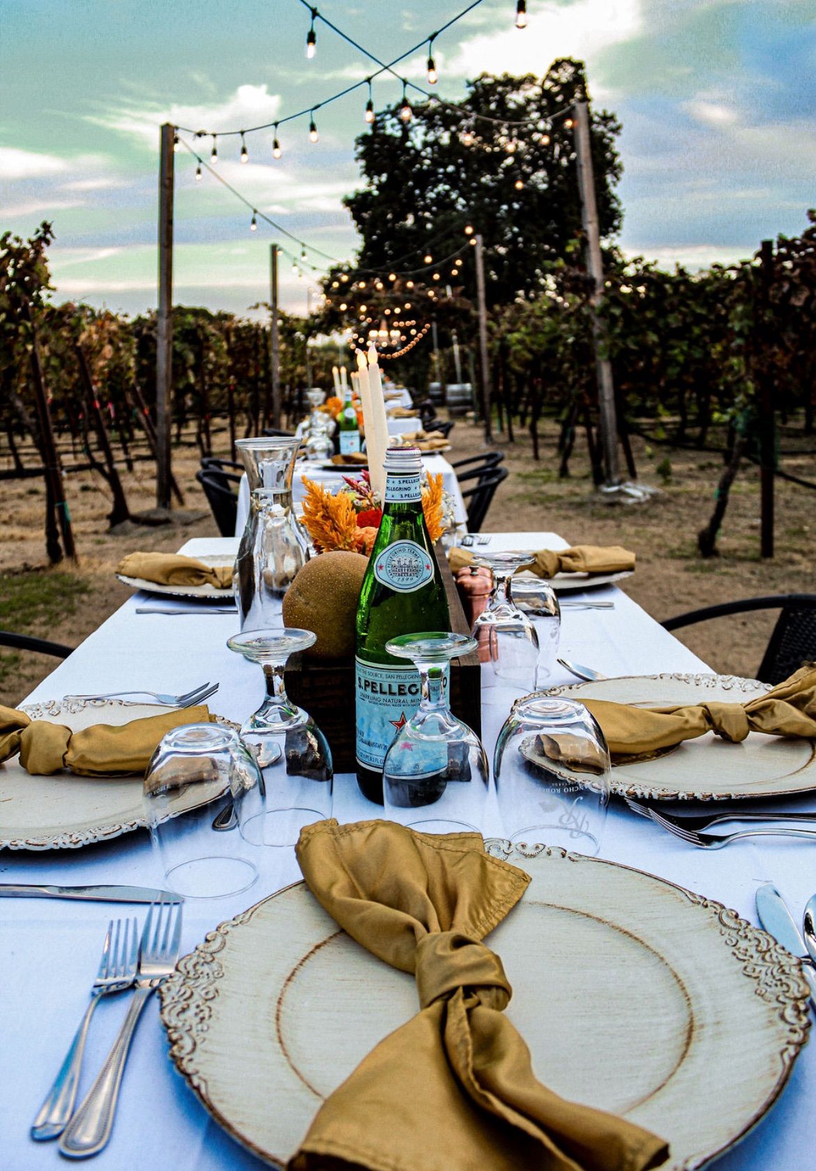 Dinner in the Vines Exclusive Event 