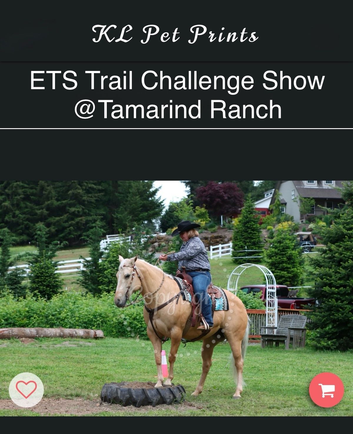 ETS Trail Challenge Show