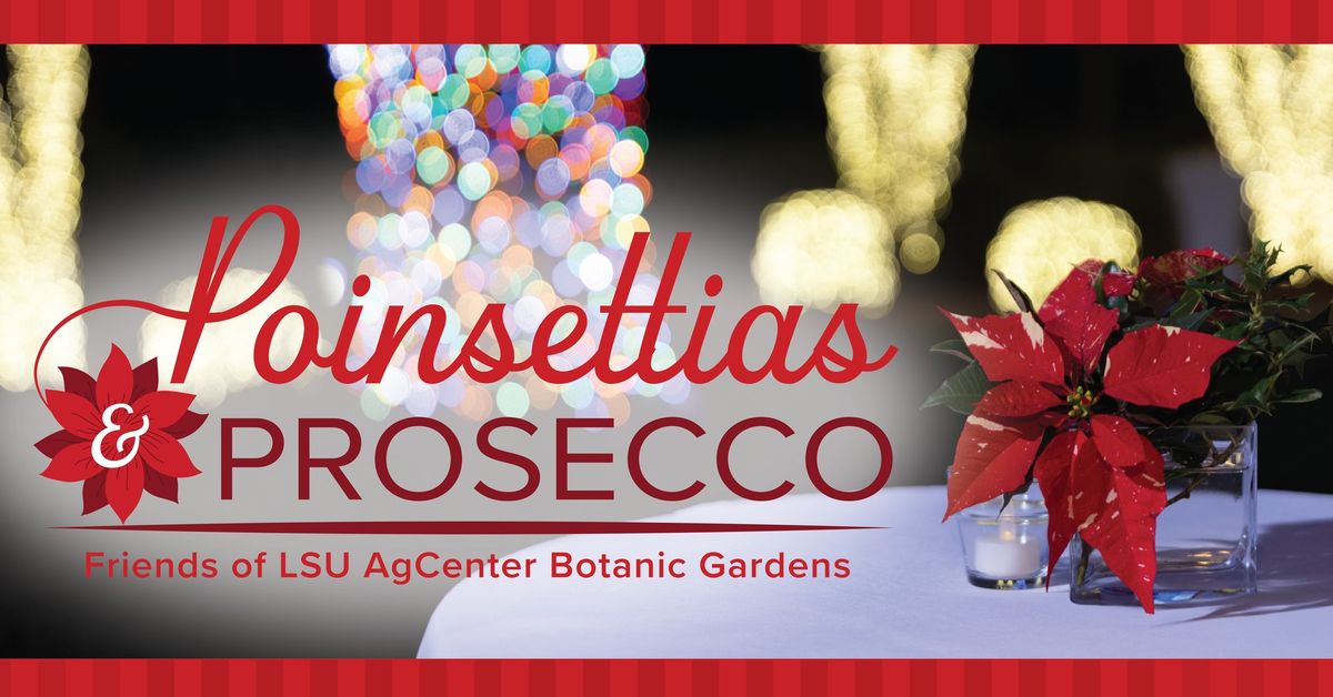 Poinsettias & Prosecco