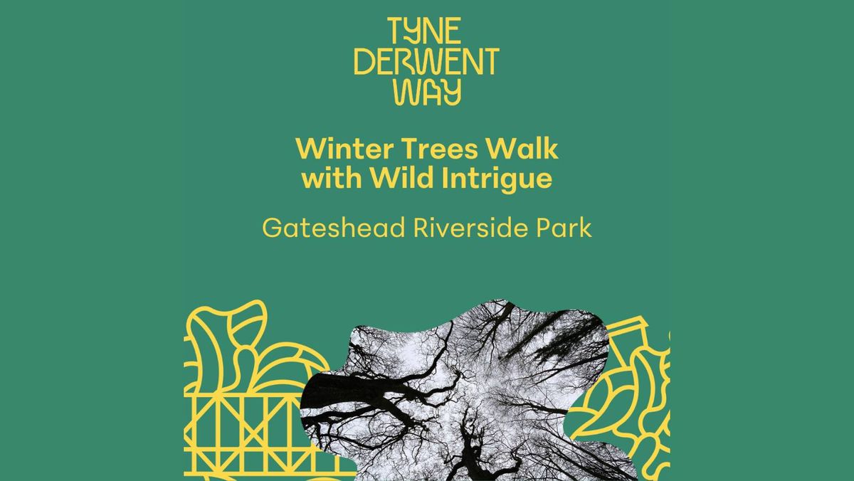 Winter Trees Walk | Gateshead Riverside Park