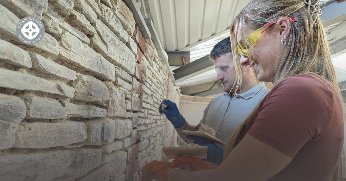 Lime Pointing Course