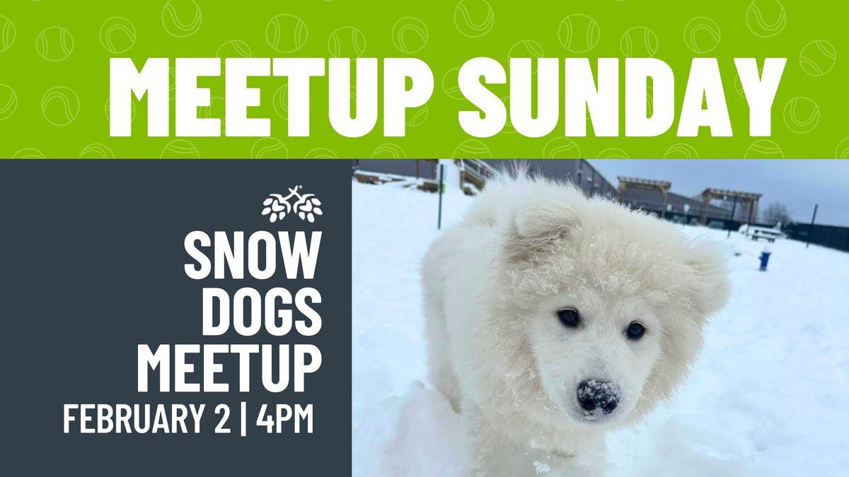 Snow Dogs Meetup 