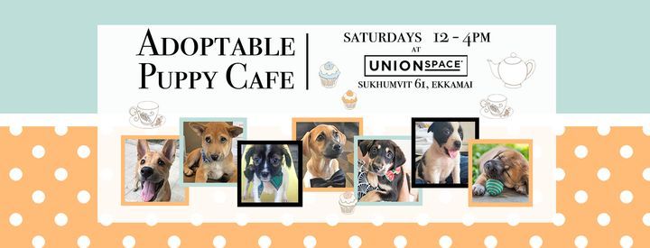 The Adoptable Puppy Cafe