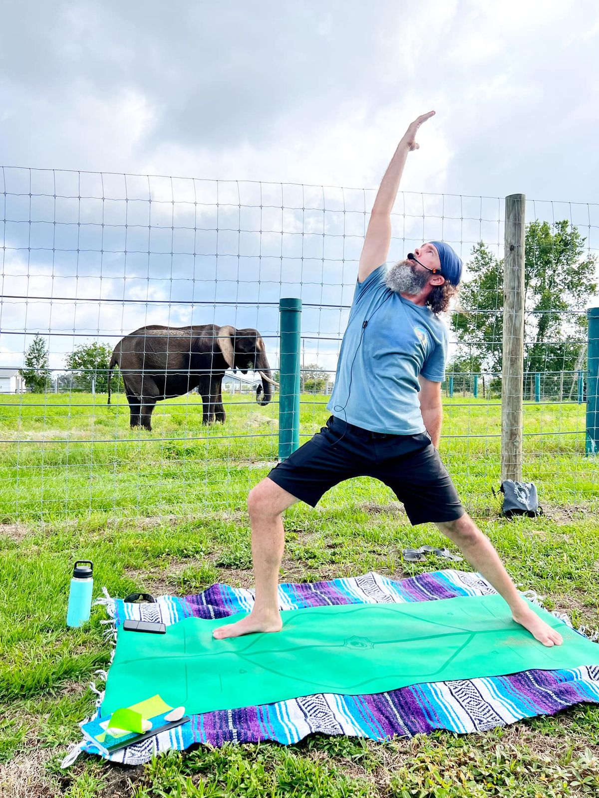 Yoga with Elephants