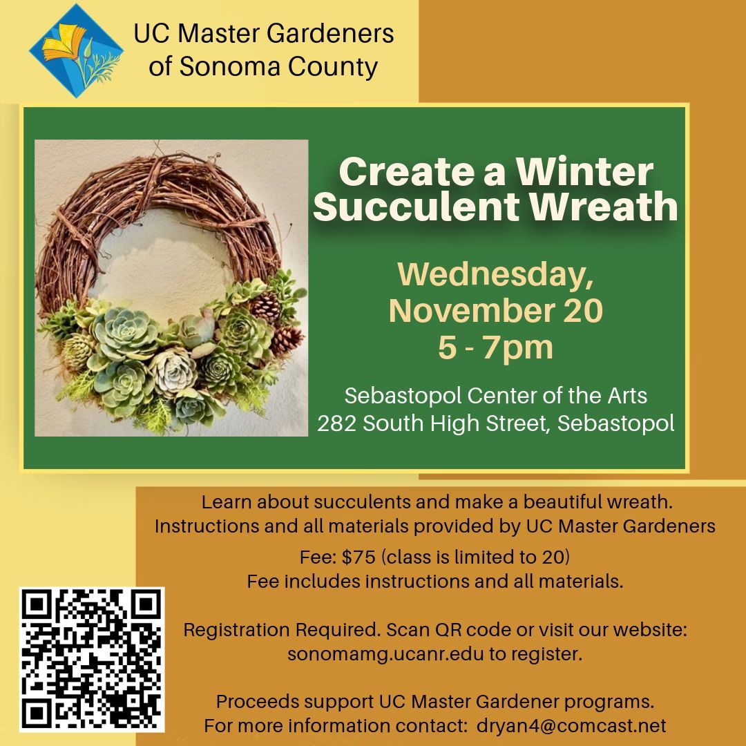 Create a Winter Succulent Wreath