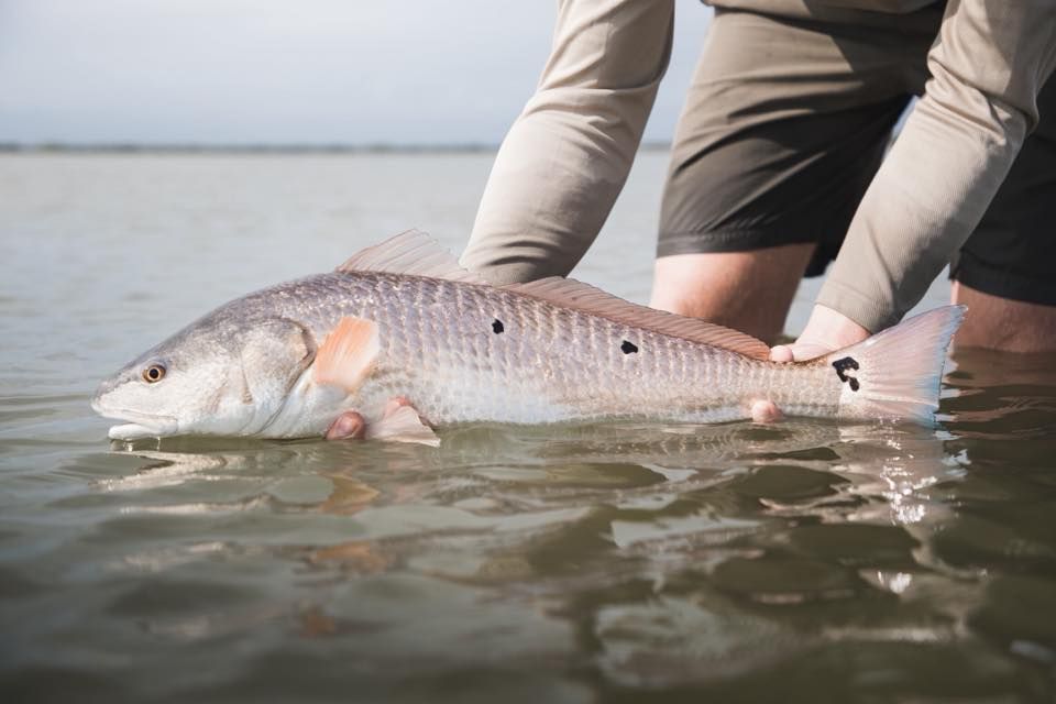 Third Coast Fishing Tournament