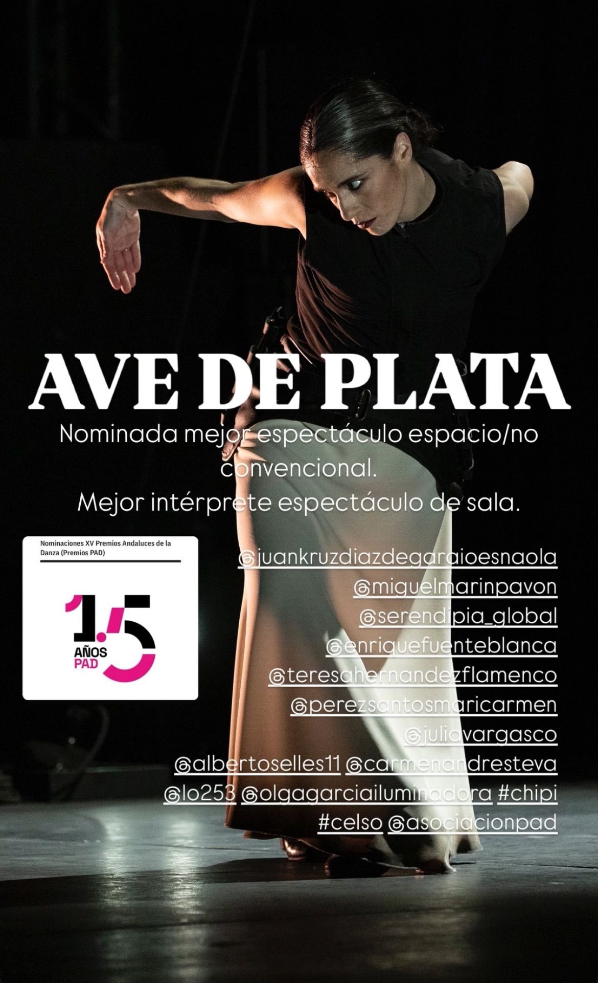 AVE DE PLATA (L\u2019oiseau rare) de Sara Jimenez 