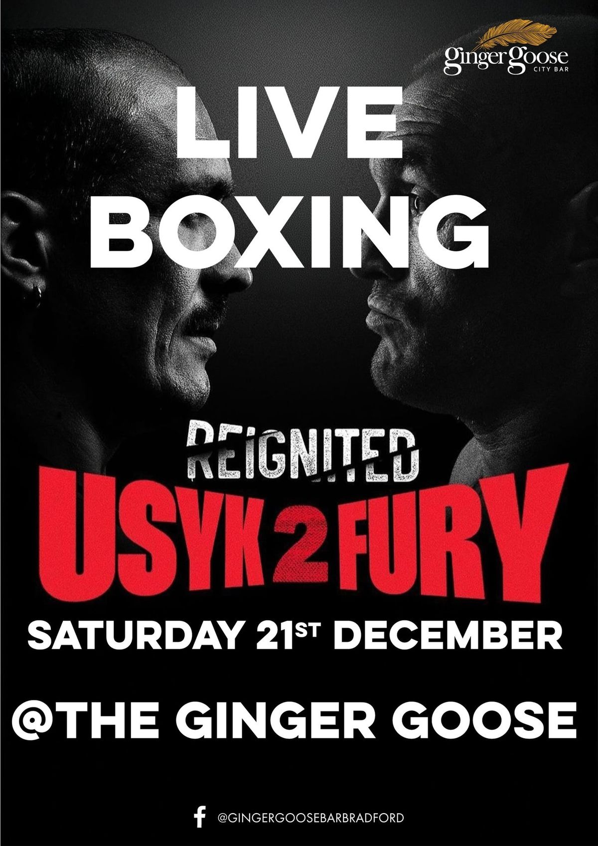 Ginger Goose presents: The big fight, Usyk vs Fury\u2026 hosted by Nova Gina \ud83c\udf85\ud83e\udd4a\ud83d\udc83