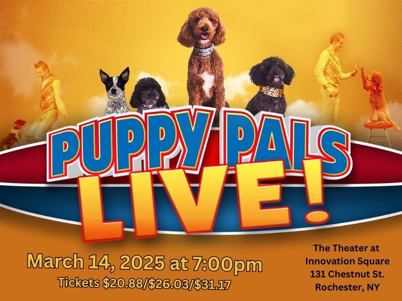 Puppy Pals Live!