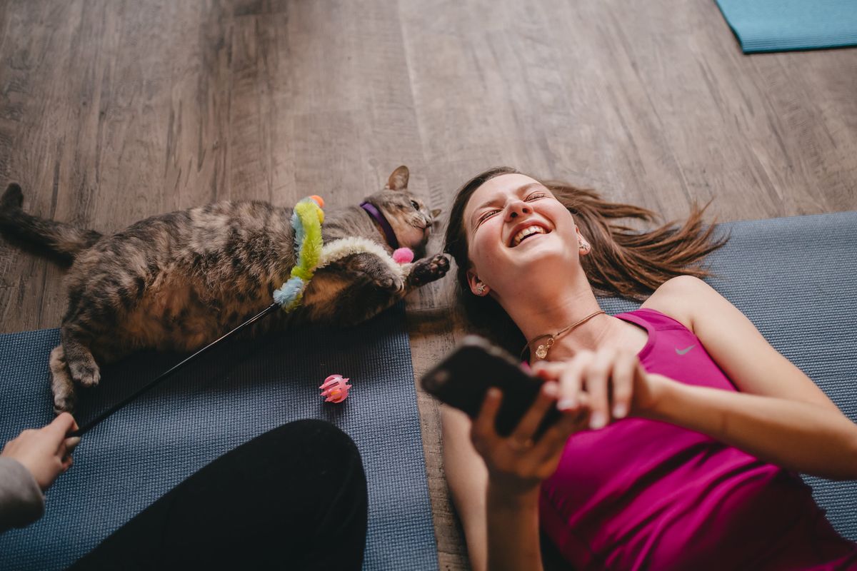 Happy Cat Yoga