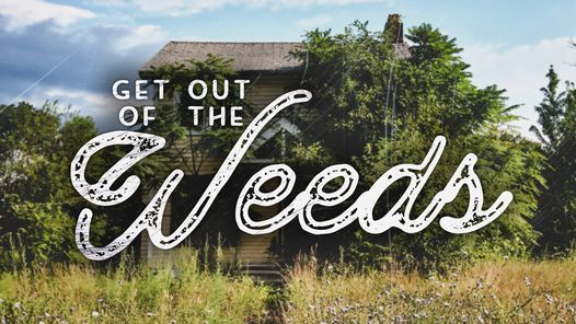 Get Out of the Weeds