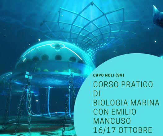 Corso Pratico Di Biologia Marina Con Emilio Mancuso Passione Sub Parma Club 16 October To 17 October