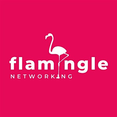 Flamingle Networking - Fab Networking for Women