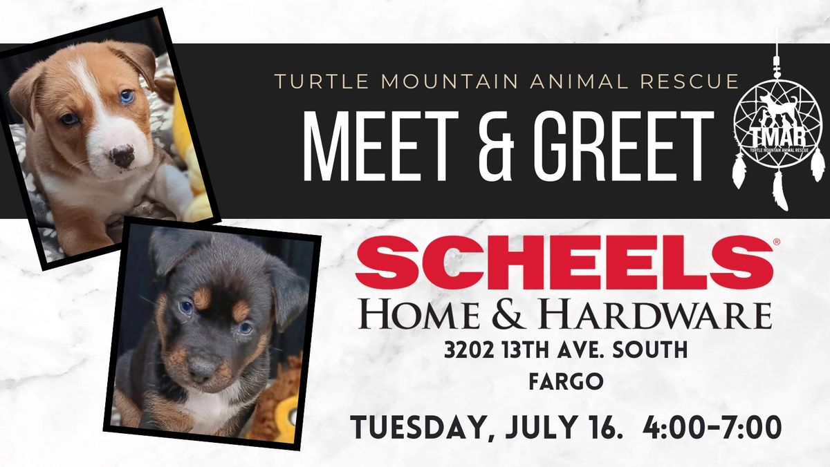 Meet-n-Greet Adoptable Animals