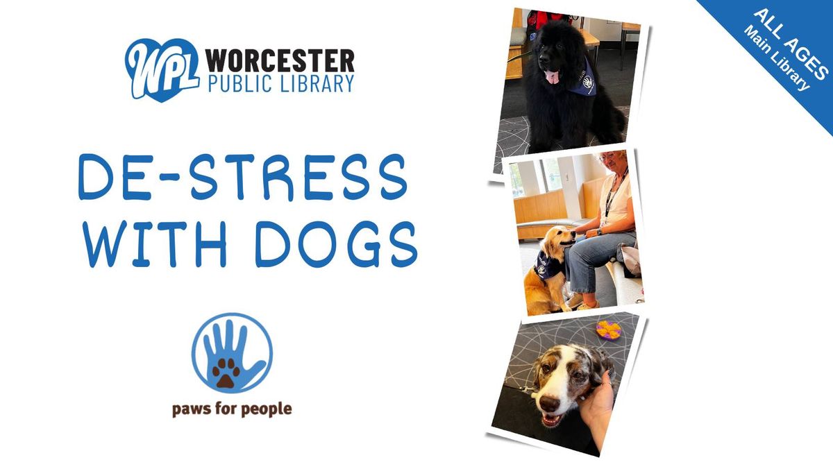 De-stress with Dogs