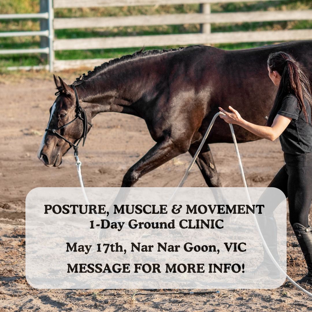 Posture, Muscle Tone & Movement 1-Day Ground Clinic, Nar Nar Goon VIC 