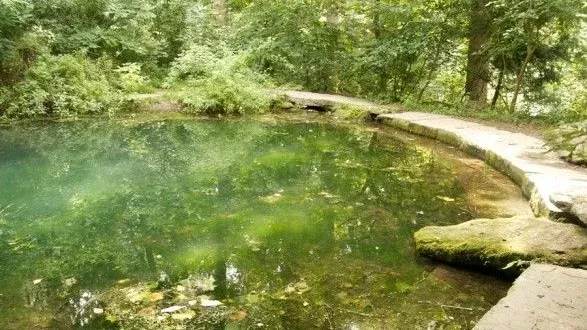 Take a Hike! ...with Black Philadelphia!