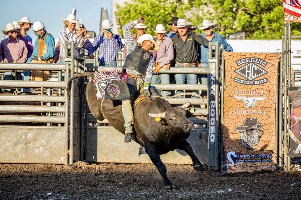 Dodge County Fair Bull Riding 2023, Dodge County Mn Fair, Kasson, 12