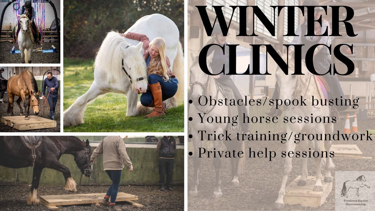 Pickering Grange clinic - obstacles, young horse, groundwork and private sessions