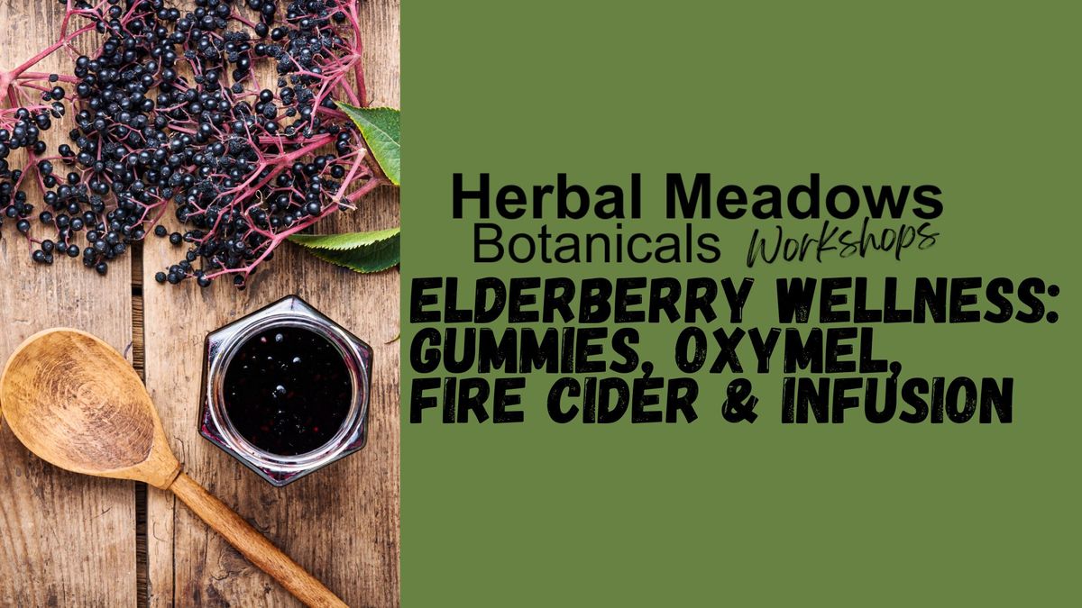 Elderberry Wellness: Gummies, Oxymel, Fire cider & Infusion Workshop