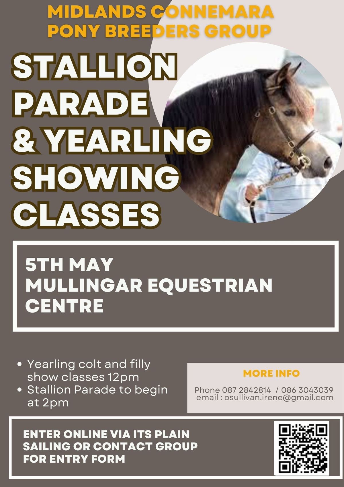 Stallion Parade and Yearling Showing Classes