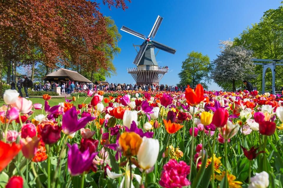 Keukenhof Trip (Opening Day) on 22 March 2025 by Uniflucht"