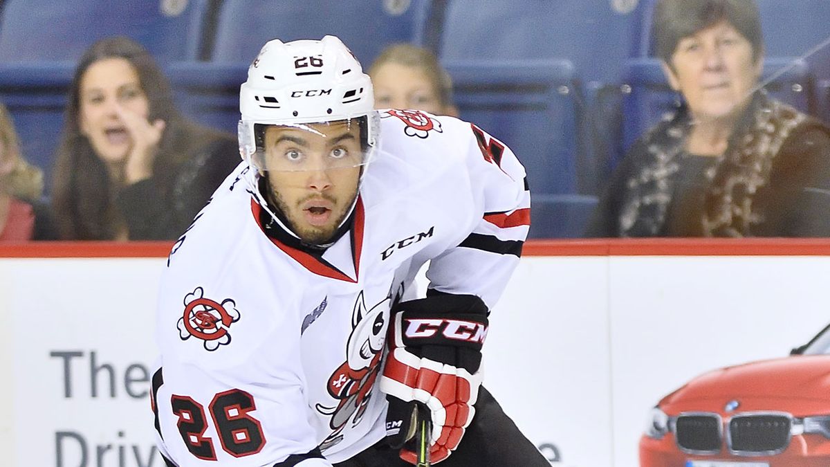 Sarnia Sting at Niagara IceDogs