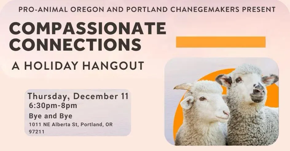 Compassionate Connections: A Holiday Hangout