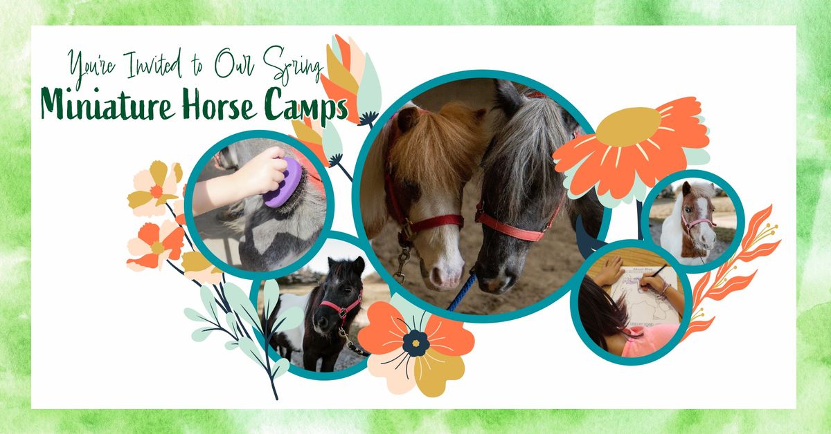 Miniature Horse Camp for Kids!