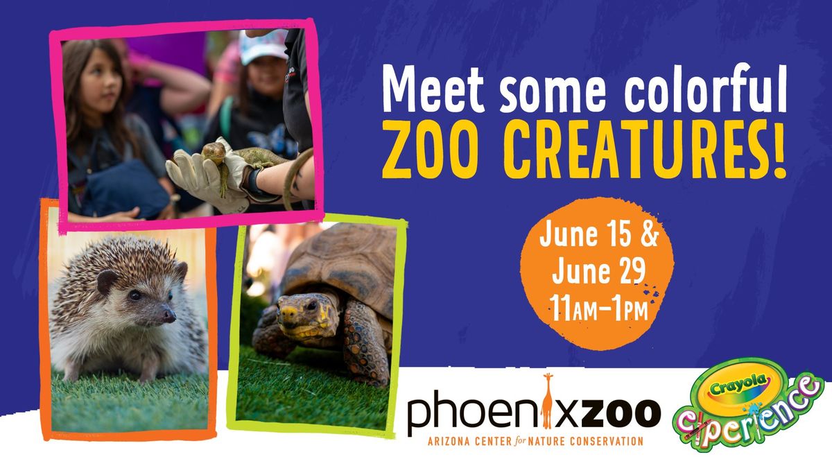 Phoenix Zoo Colorful Creatures