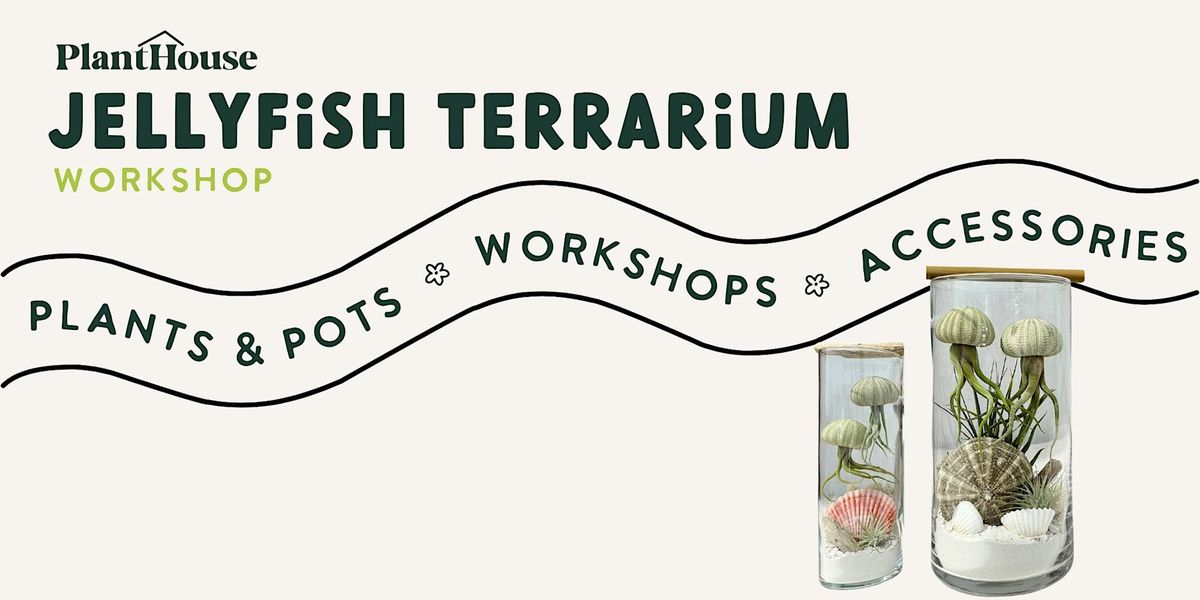 Jellyfish Terrarium Workshop