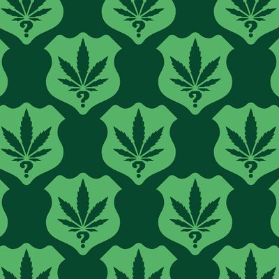 Weeding Out The Stoned