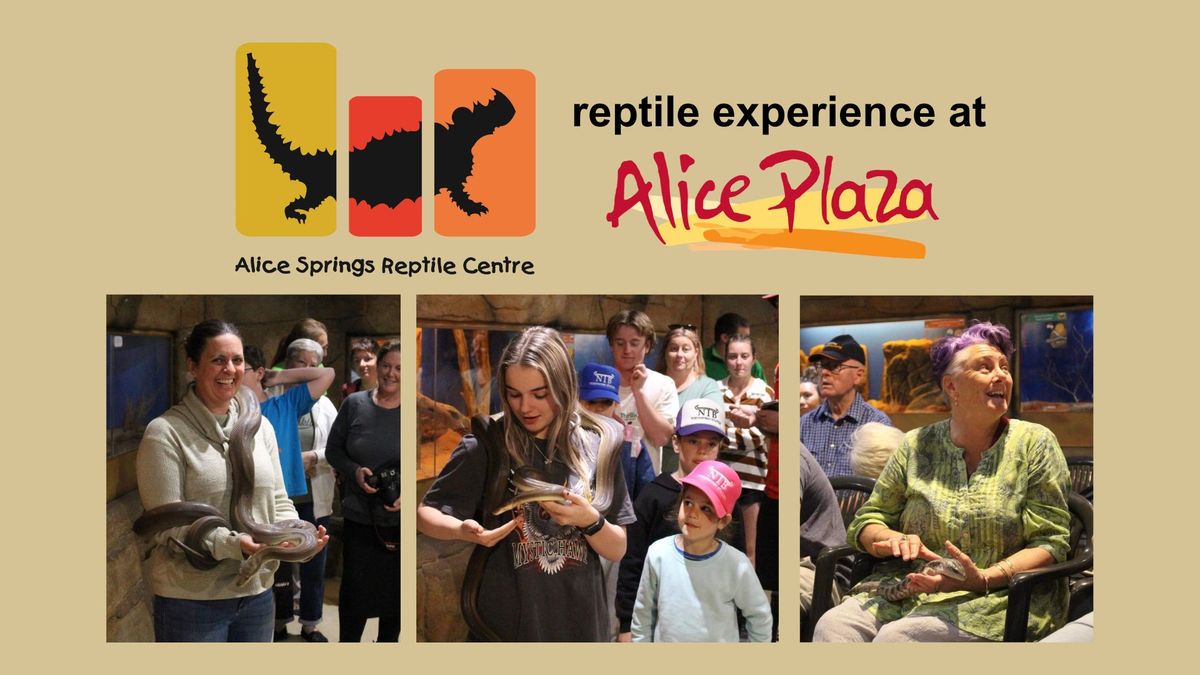 Hands on reptile experience