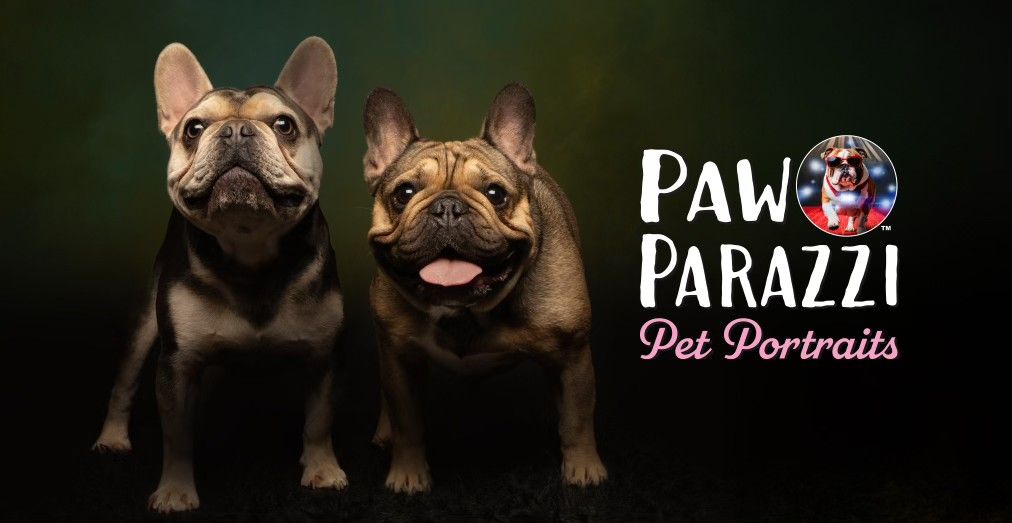 PAW-PARAZZI at Lehigh Valley Pet Expo