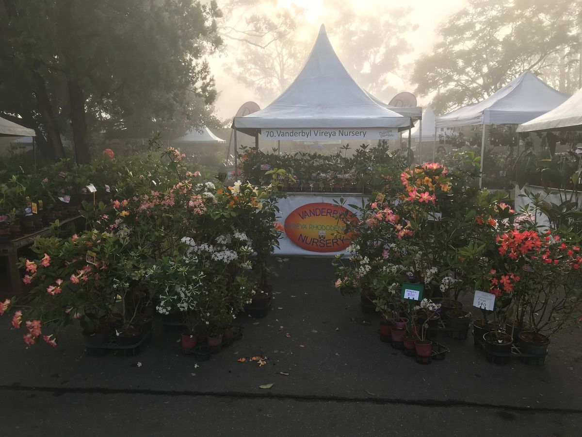 Collectors' Plant Fair at Maitland Showground